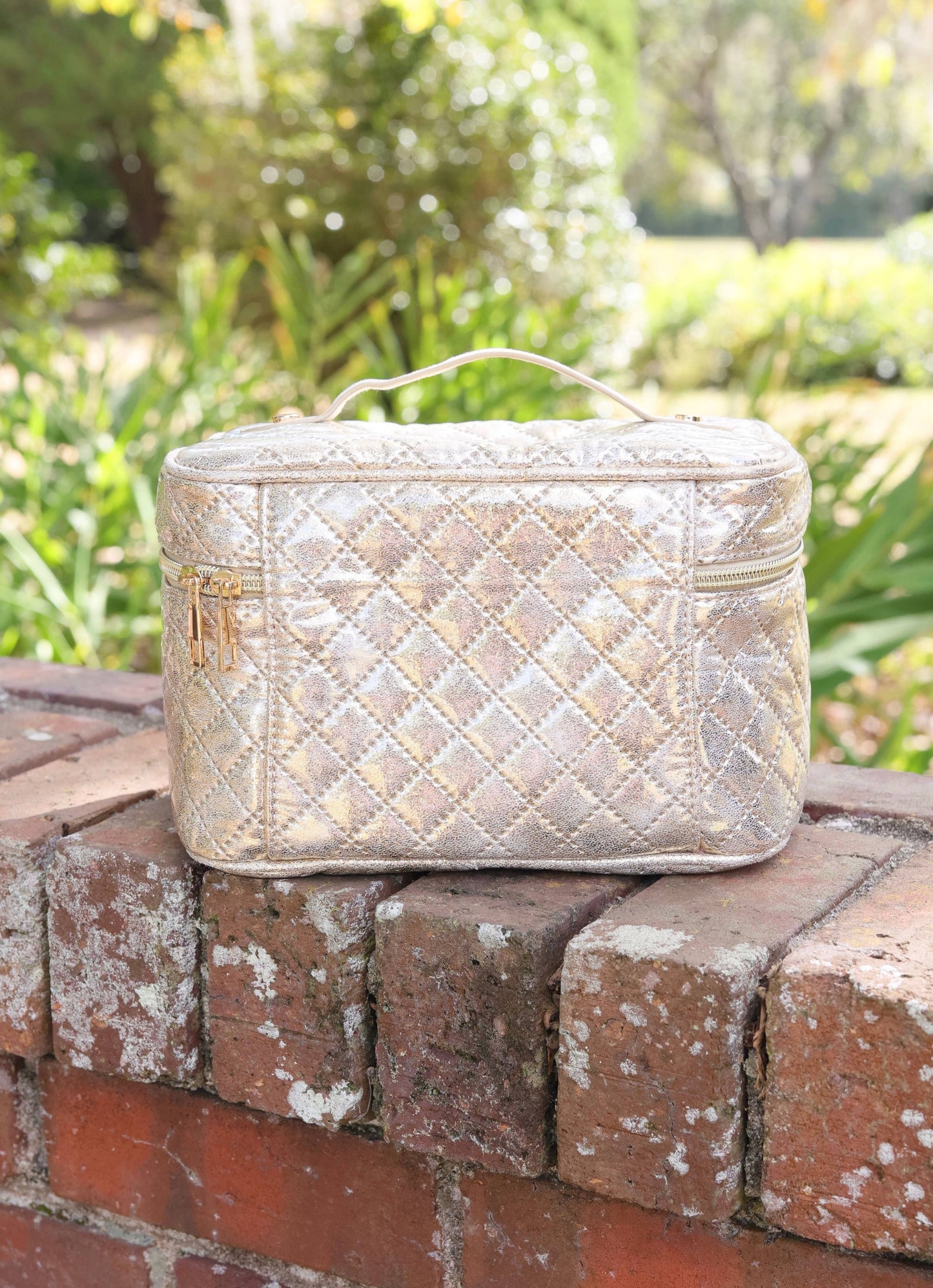 Hampton Train Case - Champagne Pop