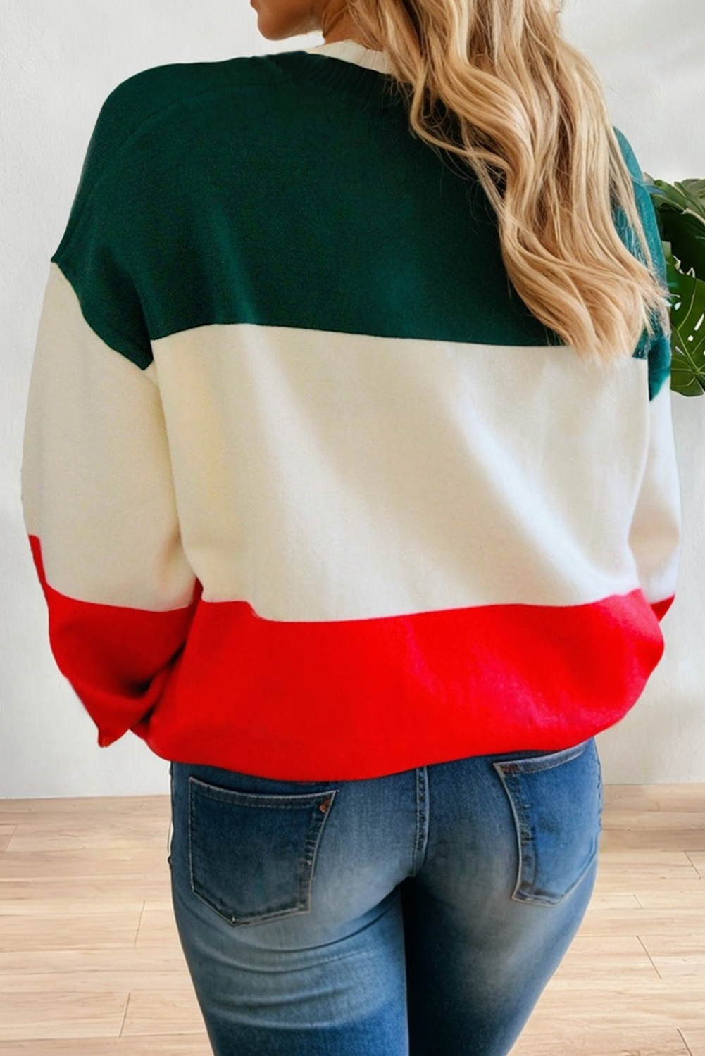 Sequined HOLLY JOLLY Color Block Crew Neck Sweater