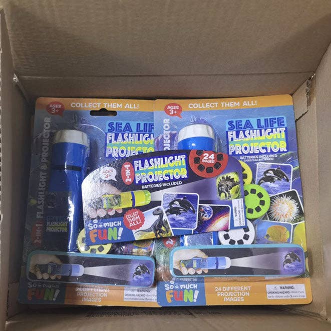 2-IN-1 MINI SLIDE PROJECTOR