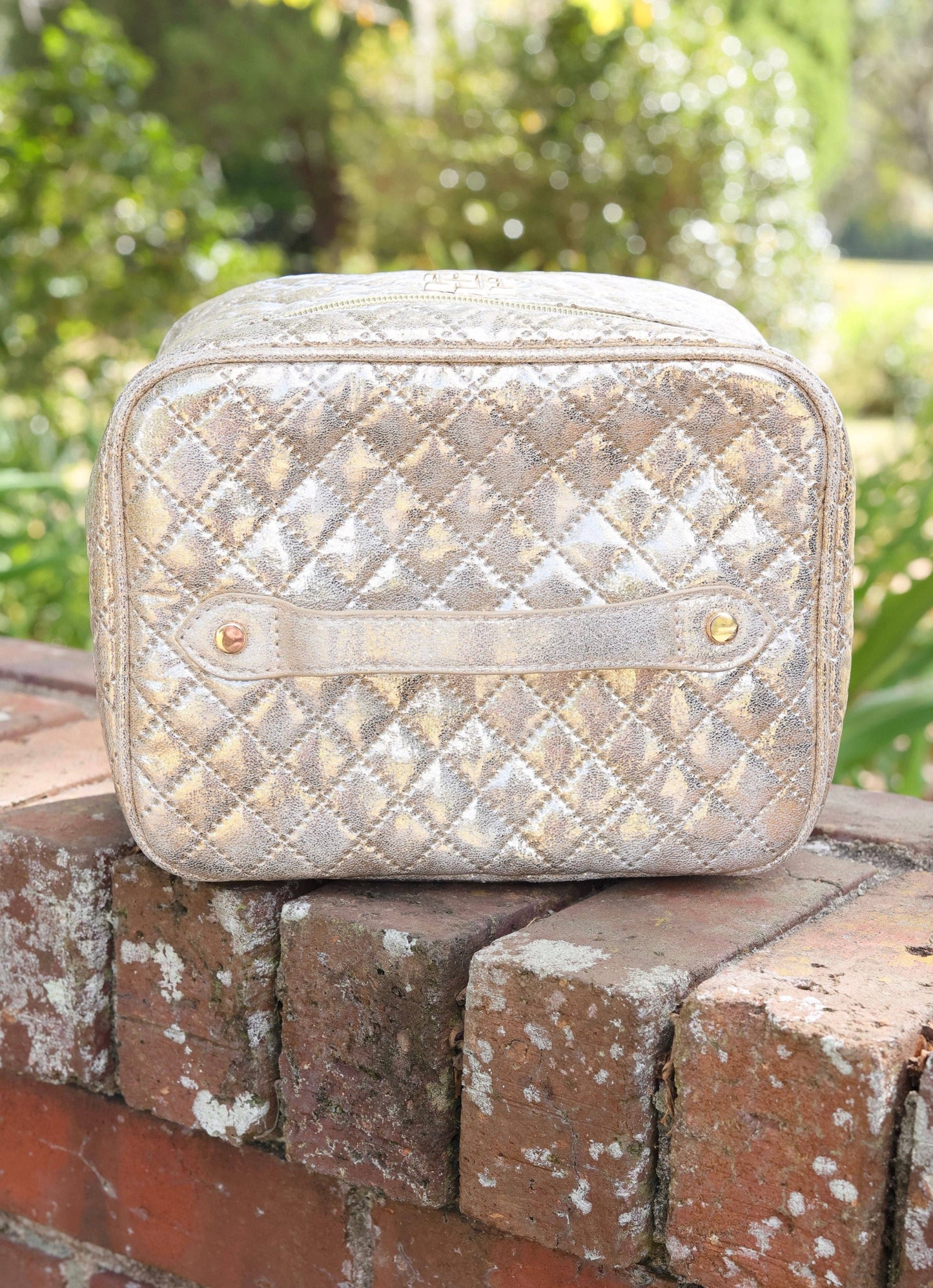 Hampton Train Case - Champagne Pop