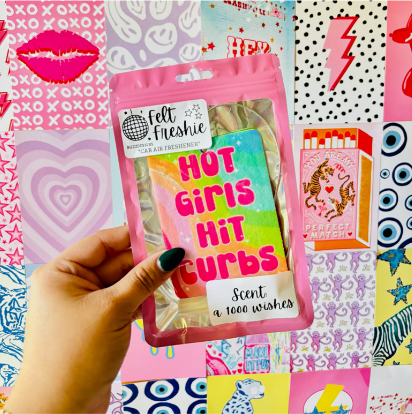 Hot Girls Hit Curbs Car Freshies