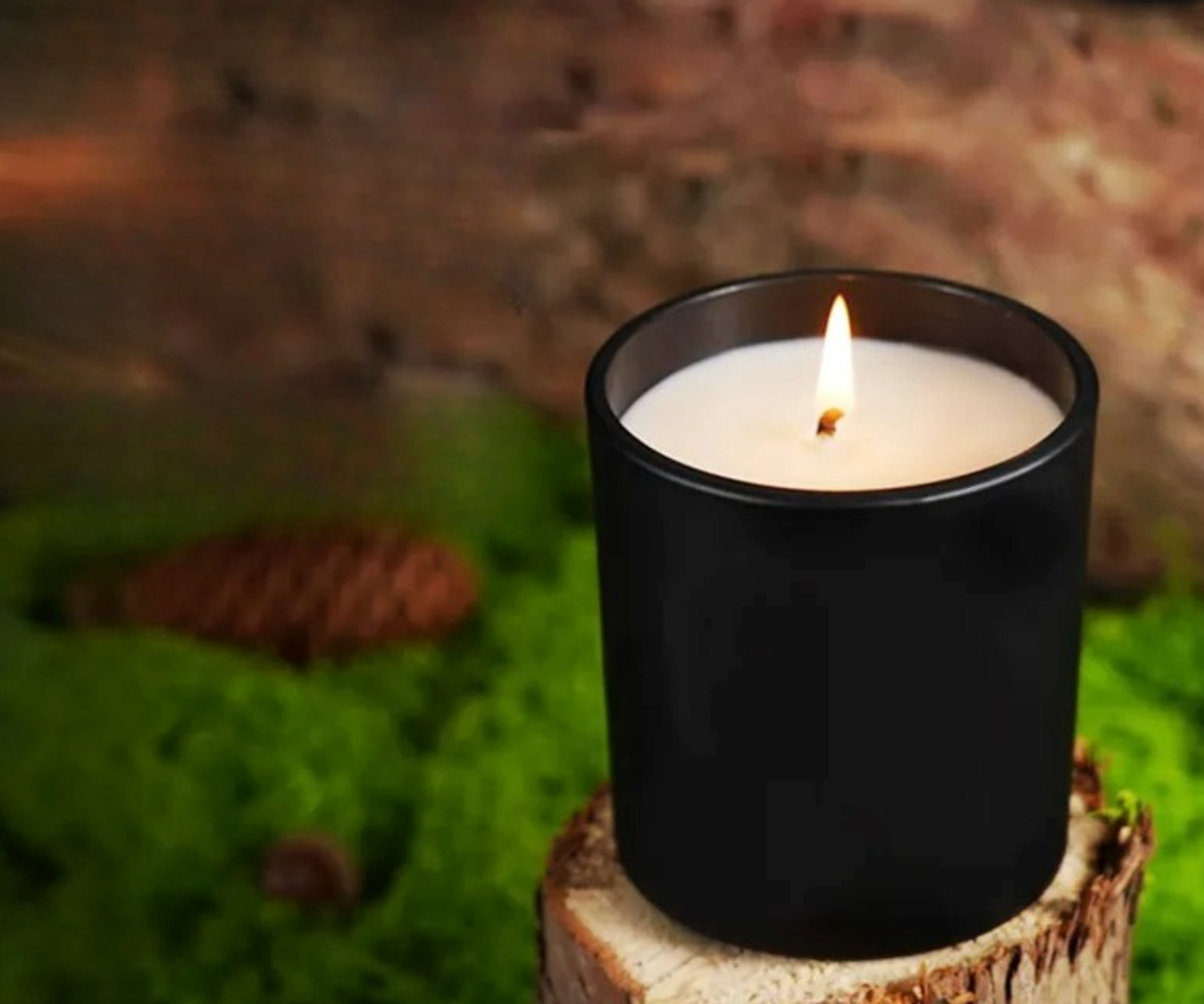 Main Character Energy 16 oz 100% Soy Candle (Diva)
