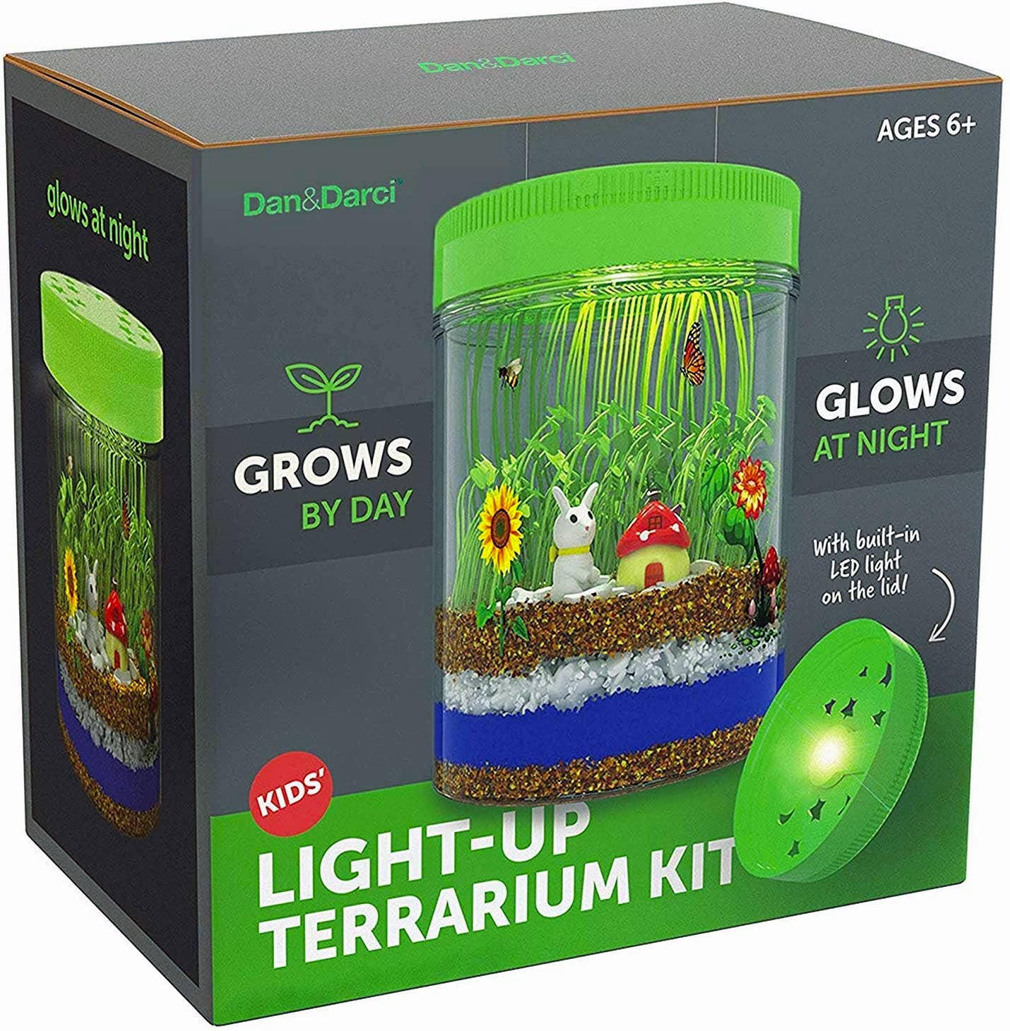 Light-Up Terrarium Kit