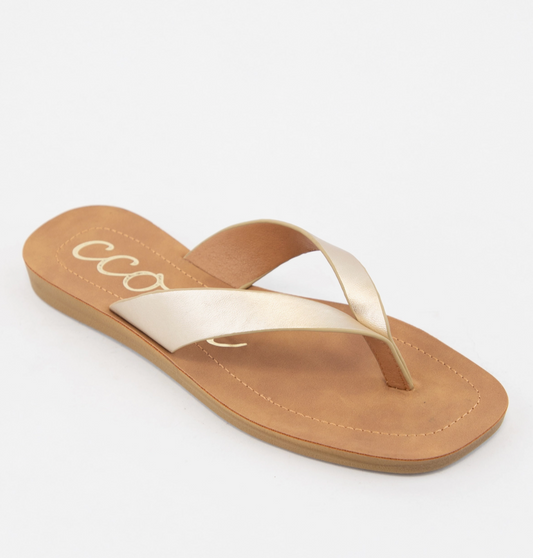 Sia Minimal Strap Design Flip Flop Thong Sandals