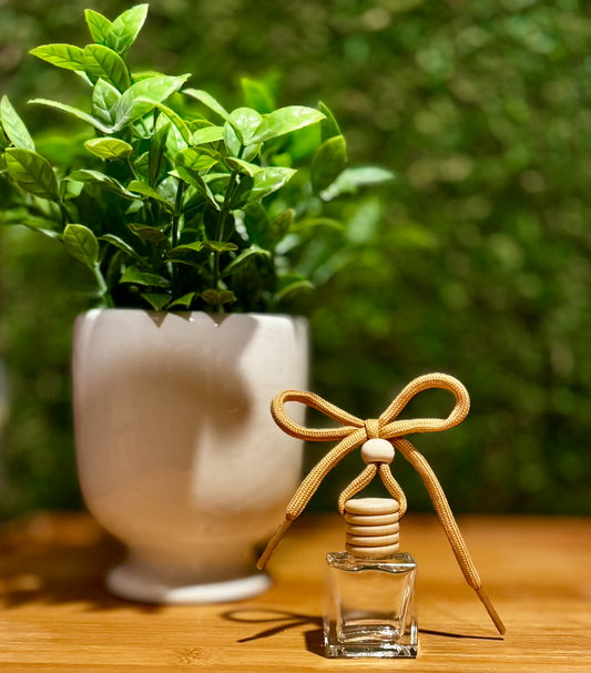 Sauvage Car Diffuser