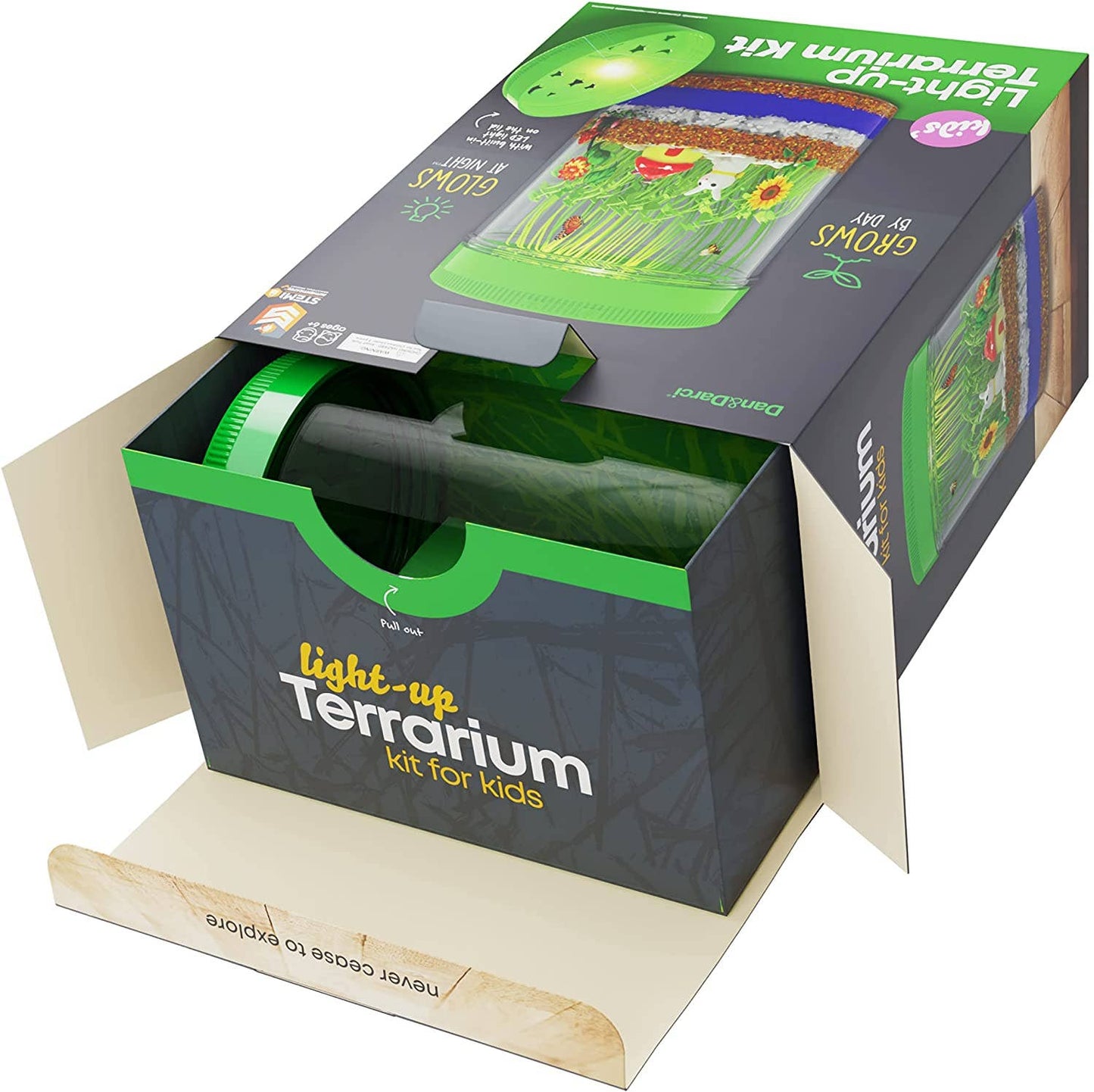 Light-Up Terrarium Kit